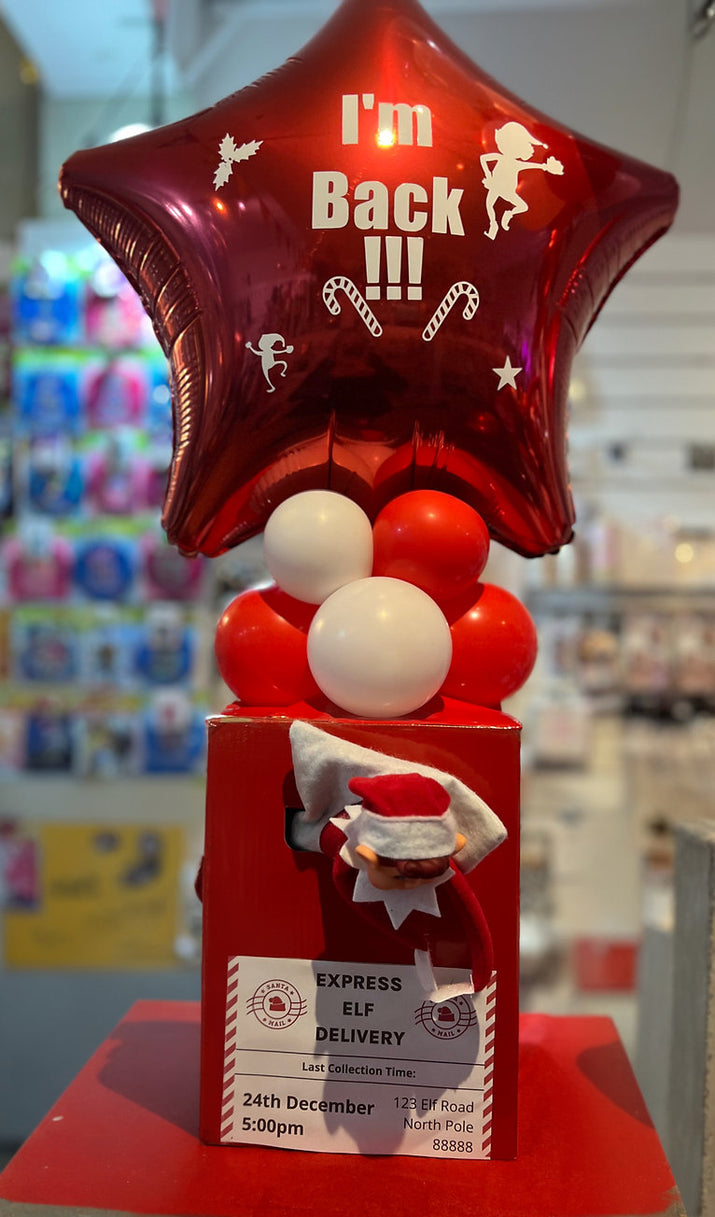 Special Delivery Elf (Elf included)